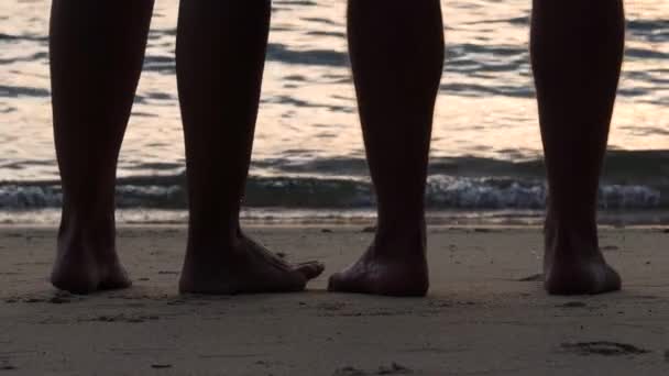 Щаслива пара стоїть разом на тропічному пляжі на заході сонця — стокове відео