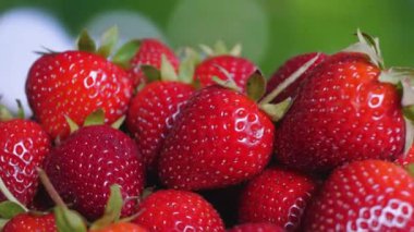 Yeşil arka planda taze çilekler.