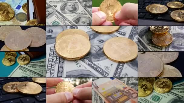 Collage de pantalla dividida de comercio electrónico o bolsa de valores de bitcoin — Vídeo de stock