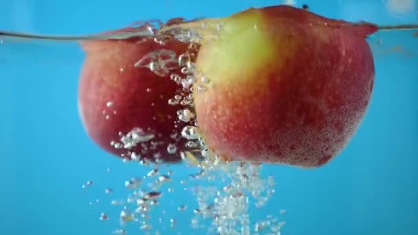 Šťavnatá jablka v čisté vodě na modrém pozadí — Stock video