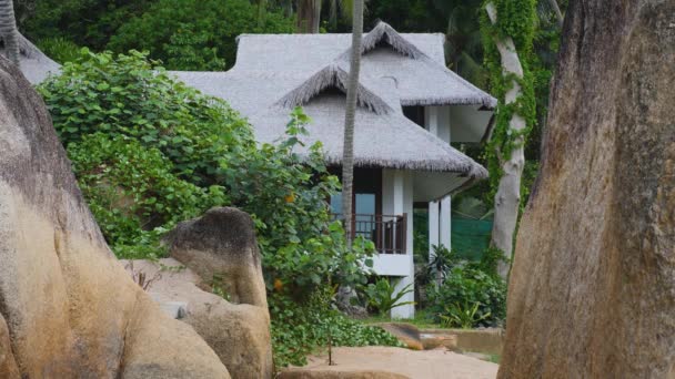 Acogedor bungalow, pequeña casa de campo, fondo de palmera — Vídeo de stock