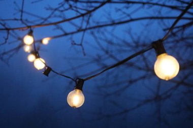 Alacakaranlıkta çıplak dallar arasında asılı duran yumuşak, parlak ip ışıkları, sıcak ve atmosferik bir açık hava sahnesi yaratıyor..