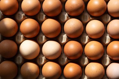 Karton tepside dizilmiş taze kahverengi çiftlik yumurtalarının yakın çekimi, doğal güneş ışığı ile aydınlatılarak, doğal dokuyu ve organik gıda kavramını ön plana çıkarıyor..