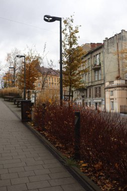 Lviv, Ukrayna 'nın Sessiz Sokakları. Yüksek kalite fotoğraf