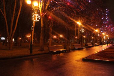 Avrupa 'da Noel tatili için dekore edilmiş güzel aydınlatılmış park yeri. Kutlama havası, parlayan ışıklar ve kış kutlaması ruhu. Yüksek kalite fotoğraf