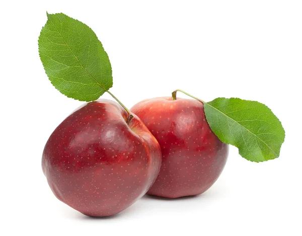 Dos manzanas rojas aisladas sobre fondo blanco, primer plano . — Foto de Stock