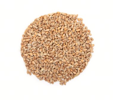 Beyaz bir arka plan üzerinde izole buğday tanesi. Üstten Görünüm.