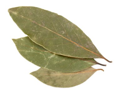 Beyaz bir arka plan üzerinde izole kurutulmuş bay defne yaprakları yakın çekim.