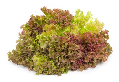 Marul yaprakları üzerinde izole beyaz arka plan, yakın çekim.