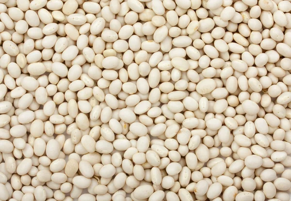 White beans background top view. Close up.