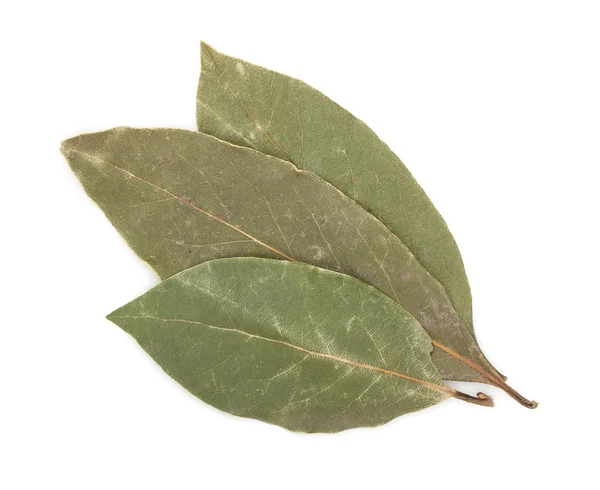 Hojas de laurel de laurel secas aisladas sobre un fondo blanco de cerca . — Foto de Stock