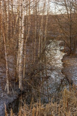 Finlandiya 'da sonbahar manzarasından akan, ağaçlar ve doğal bitki örtüsüyle çevrili küçük bir nehir. Doğada huzurlu mevsimlik manzara