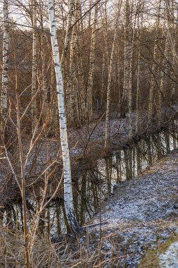 Finlandiya 'da sonbahar manzarasından akan, ağaçlar ve doğal bitki örtüsüyle çevrili küçük bir nehir. Doğada huzurlu mevsimlik manzara