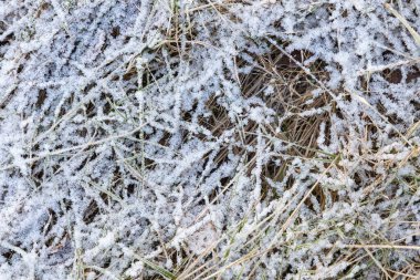 Kış başlangıcında, çimenler ilk buzla kaplıydı. Kış başlangıcında donma ve mevsimsel değişim belirtileri