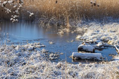 Baltık Denizi 'nin kış kıyılarında kar, buz ve kuru sazlıklar. Finlandiya doğasının saflığını ve ekolojik güzelliğini yansıtan sakin, temiz bir İskandinav manzarası.