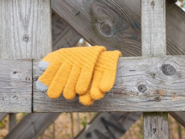 Yıpranmış ahşap bir çitte unutulmuş eldivenler. Kır manzarası dokuyu, ihmalkarlığı ve sakin, doğal bir atmosferi yakalıyor.