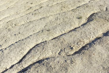 Açık bej gri toprak, kuraklık, küresel ısınma, çölleşme ve çevresel değişiklikleri gösteren, güneşten kavrulmuş, derin çatlakları gösteren detaylı, tam kare bir yakın çekim.