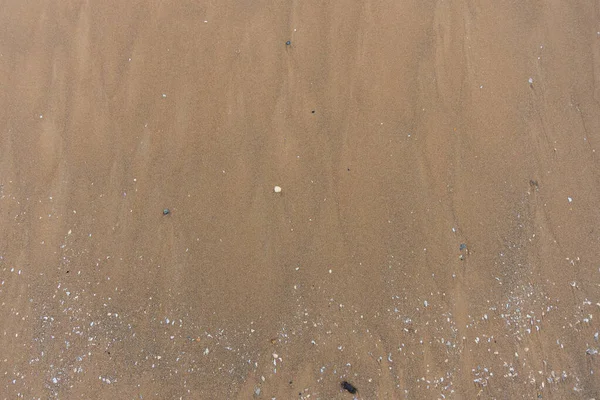 Geniş çerçeveli, nemli, kahverengi kumlu kumsal manzarası küçük beyaz, bej ve gri deniz kabuğu parçaları ile dağılmış. Bu doğal doku, kum ve organik enkazın ince taneciklerini vurgular.