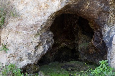 Yeşil yosunları ve güneşli bir günde etrafını saran doğal bir taş mağaranın girişi..