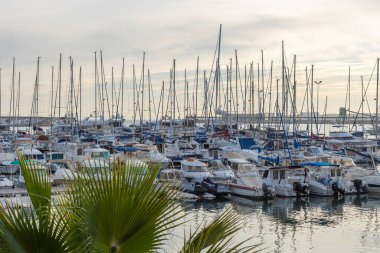 Torrevieja, İspanya - 13 Ocak 2026: Altın saat sakin bir liman sahnesi, sayısız yelkenli, yat, belirgin bir ahşap iskele ve yumuşak, bulutlu bir gökyüzü altında sakin su yansımaları