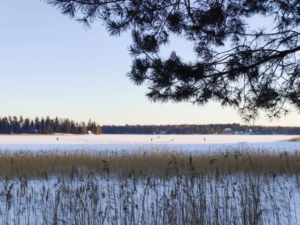 Sakin bir kış sahnesi, koyu çam dalları ve kuru sazlıklarla çerçevelenmiş uçsuz bucaksız, donmuş bir Baltık denizini yakalar. İnsanlar buzdan geçerek uzak bir ormana ve berrak, soluk mavi gökyüzünün altında sakin, soğuk mevsim güzelliğini somutlaştıran evlere doğru yol alırlar.