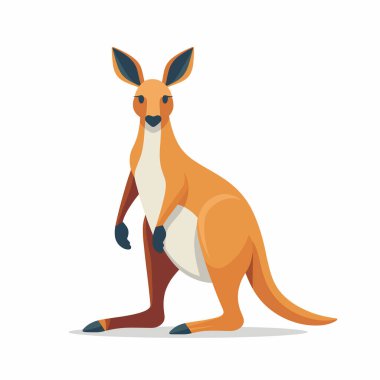 Sevimli çizgi film kangurusu beyaz bir arka planda dikiliyor.