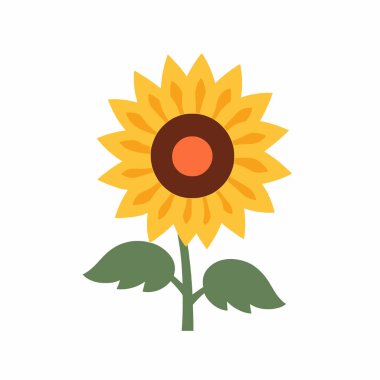 Beyaz arka planda yeşil yapraklı, saplı ve kahverengi merkezli tek sarı ayçiçeği.