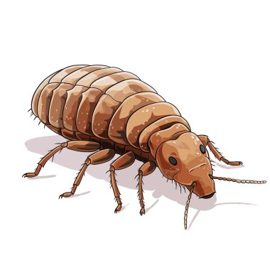 Bölünmüş zırhlı kahverengi bir tespih böceğinin ayrıntılı bir çizgi film çizimi. Tespih böceğinin birçok bacağı ve uzun anteni vardır. Beyaz bir arkaplanda geçiyor..