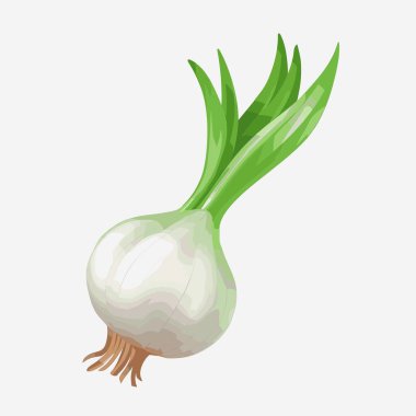 Yeşil soğan olarak da bilinen bir soğanı gösteren bir resim. Derinin kahverengi kökleri ve parlak yeşil sapları olan beyaz bir ampulü vardır..