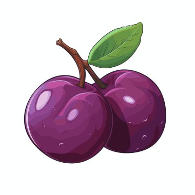 İki olgun, yuvarlak erik tek yeşil yapraklı küçük bir gövdeye bağlıdır. Eriklerin pürüzsüz, parlak mor bir teni vardır. Yeni toplanmış ve lezzetli görünüyorlar..