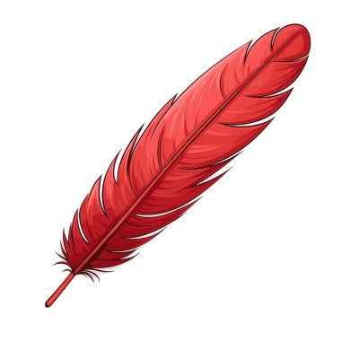 Detaylı dikenleri ve merkezi bir tüyü olan canlı bir kırmızı tüy, saf beyaz arka plana karşı yüzer. Tüy hafif ve narin görünüyor..