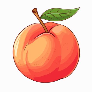 Tek bir çizgi film tarzı olgun şeftali beyaz bir arka planda izole bir şekilde durur. Şeftalinin sapı ve yeşil bir yaprağı var. Meyve yuvarlak ve turuncu kırmızıdır..