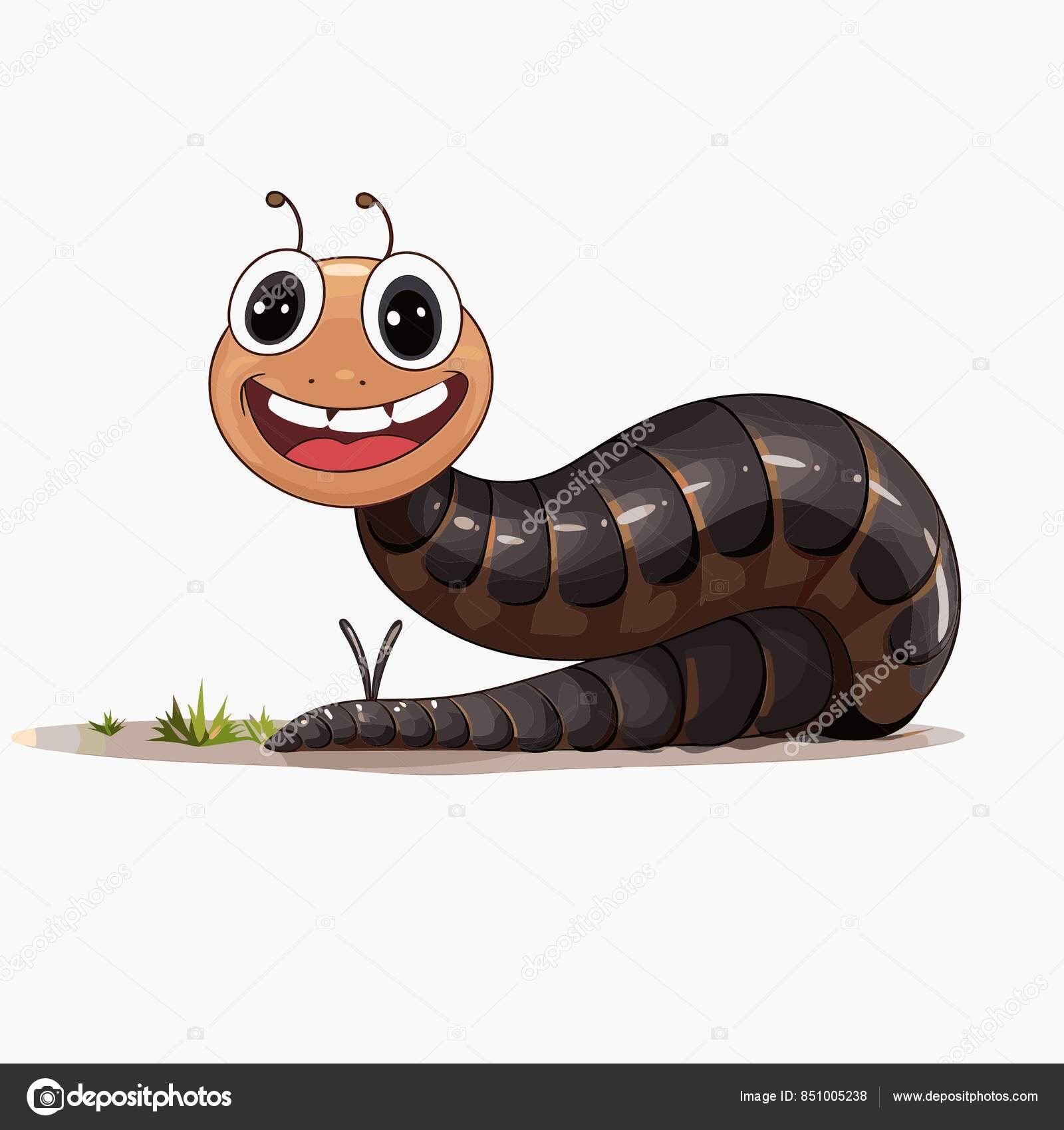 ANATOMÍA DEL OVINO #anatomía #PremierRendiplus #ovino | TikTok, image size:1600x1700