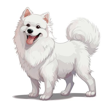 Dost canlısı, tüylü, beyaz Samoyed köpeği dili açık ve gülümsüyor. Köpeğin mutlu bir ifadesi var ve basit bir arkaplanı var..