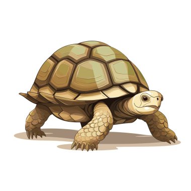 Bronz kabuklu bir karikatür kaplumbağası öne doğru yürür. Kaplumbağanın güçlü bacakları ve gözlerinde tuhaf bir bakış vardır. Arkaplan düz beyaz.