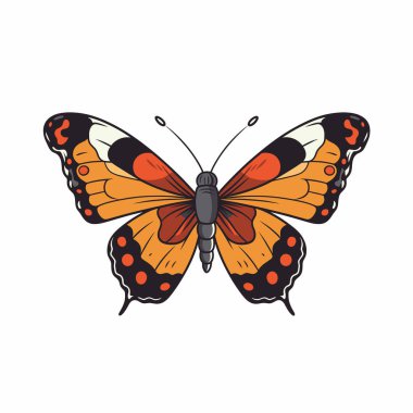 Çarpıcı bir kelebek canlı turuncu, siyah ve beyaz kanatlar sergiler. Zarif bir şekilde dinleniyor, doğal ortamdaki kalıplarının ince detaylarını gösteriyor..