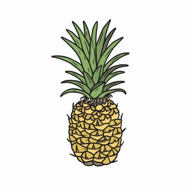 Olgun bir ananas altın sarısı derisini ve yemyeşil tacını sergiler. Meyve dik konur, doğal güzelliğini ve tropikal cazibesini vurgular, mutfak kullanımı veya dekorasyon için idealdir..