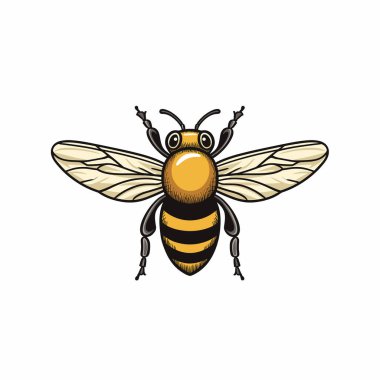 Parlak renkli bir arı canlı sarı vücudunu ve karmaşık kanat desenlerini sergiliyor. Böcek uçuşun ortasında, tozlaşma ve doğanın ekosistemindeki rolünü vurguluyor..