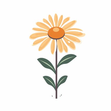 Canlı sarı bir çiçek yeşil yapraklarla uzun boylu, taç yapraklarını ve yuvarlak merkezini sergiliyor. Çiçek temiz beyaz bir arkaplana dayanır ve neşeli görünümünü vurgular..