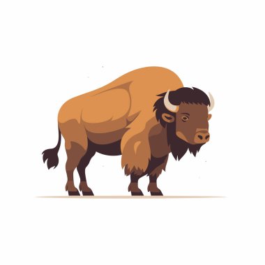 Bir bufalo kaslı yapısını ve belirgin yüz hatlarını sergileyerek kendinden emin bir şekilde ayakta duruyor. Hayvan, doğal ortamında vahşi yaşamın gücünü temsil ederek huzurlu görünüyor..