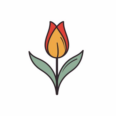 Canlı bir lale, iki yeşil yapraklı kırmızı ve sarı bir çiçeğe sahiptir..