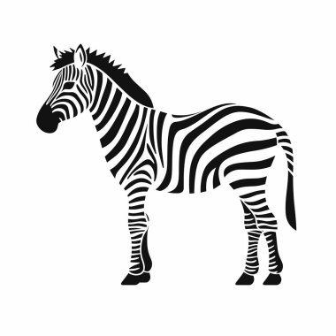 Bir zebra, belirgin siyah ve beyaz çizgileriyle zarifçe durmaktadır. Hayvan, doğal güzelliğini ve ikonik desenini sergileyerek tetikte görünüyor..