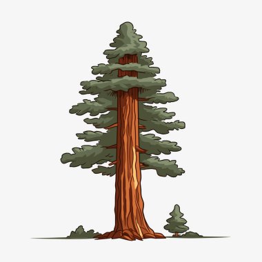 Sakin bir orman ortamında görkemli bir sekoya ağacı yükselir. Kalın gövdesi ve yemyeşil yaprakları, doğanın güzelliğini gözler önüne seren daha küçük bir ağaçla çarpıcı bir tezat oluşturuyor..