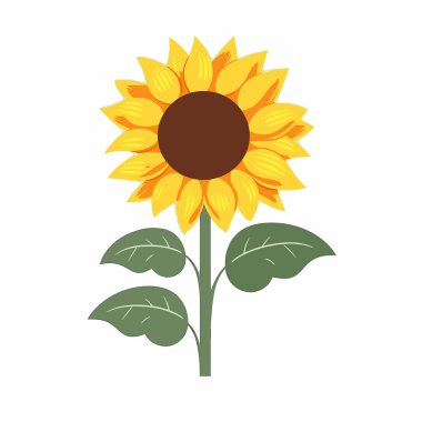 Renkli bir ayçiçeği, büyük sarı yapraklarını ve koyu kahverengi merkezini sergiler..