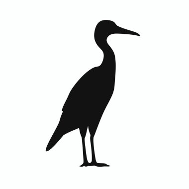 Balıkçıl, iki uzun bacak üzerinde sakince duran parlak bir siluette tasvir edilir. Ayırt edici uzun boynu ve gagası açıkça görülebiliyor, zarif biçimini sergiliyor..