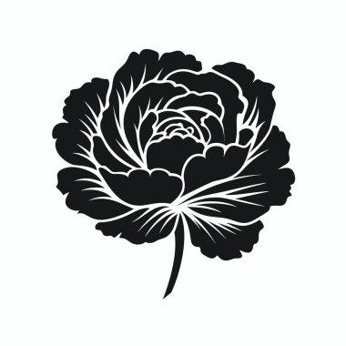 Şakayık çiçekli bir çiçeğin güzel şekillendirilmiş siyah beyaz çizimi karmaşık taç yaprakları ve yaprak ayrıntıları sergiliyor. Çiçek tasarımı bu sevgili çiçeğin zarafetini vurguluyor..