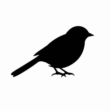 Küçük bir kuş, gövdesi ve kuyruğu zarif bir şekilde konumlandırılmış olarak görülür. Siluet, zıt bir arkaplan karşısında narin özelliklerini vurgular..