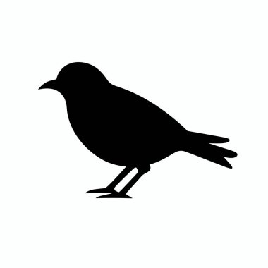 Küçük bir kuş silueti başı dik bir şekilde yerde duruyor. Kuş siyahtır, basit ve sade bir profili vardır, sakin ve sakin bir çevreye işaret eder..