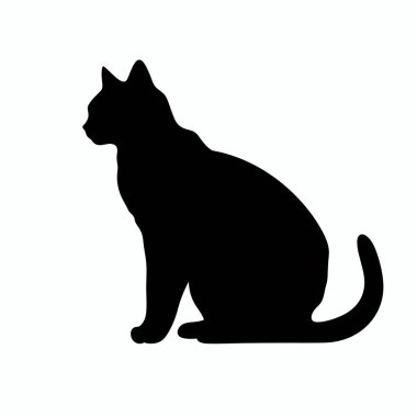 Bir kedi siluette yakalanıyor, zarif bir şekilde oturuyor ve başını hafifçe yana çeviriyor. Basit arka plan kedinin düzgün duruşuna ve duruşuna odaklanır..