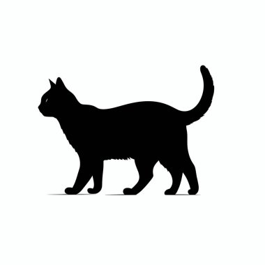 Siyah bir kedi zarif bir şekilde yürüyor, silueti ışık arka planına vurgulanıyor. Kedinin kuyruğu kalkıyor ve hareket ederken duruşu güven ve merakı gösteriyor..